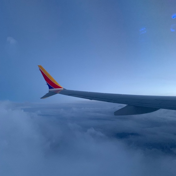 Meet your Posher, Elyssa - Picture 1 of 1